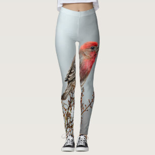 House Finch in Snow - Original Photograph Leggings