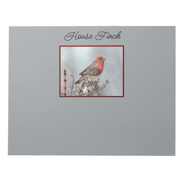 House Finch in Snow - Original Photograph Notepad (Front)