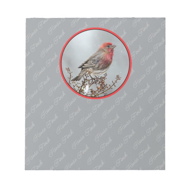 House Finch in Snow - Original Photograph Notepad (Front)