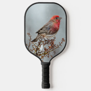 House Finch in Snow - Original Photograph Pickleball Paddle