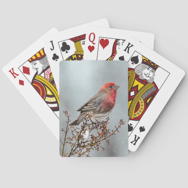 House Finch in Snow - Original Photograph Playing Cards (Back)