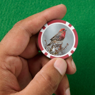 House Finch in Snow - Original Photograph Poker Chips