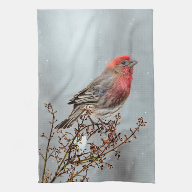 House Finch in Snow - Original Photograph Tea Towel (Vertical)