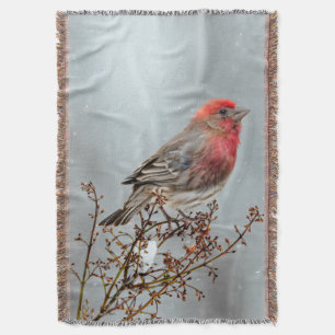 House Finch in Snow - Original Photograph Throw Blanket