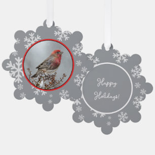 House Finch in Snow - Original Photograph Tree Decoration Card