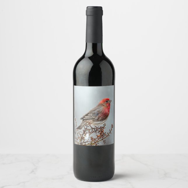 House Finch in Snow - Original Photograph Wine Label (Front)