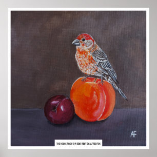 House Finch’s Midday Rest Painting by Alfred Fox Poster