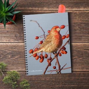 House Finch with Hawthorn Berries Notebook