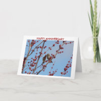 House Finches, Love Among The Buds 2, HAPPY ANN...