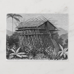House in the Arfak village of Memiwa, New Guinea Postcard