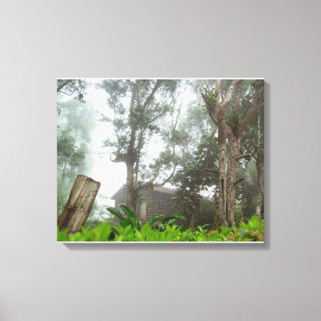 House in the woods canvas print (Front)