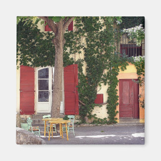 House Magnet