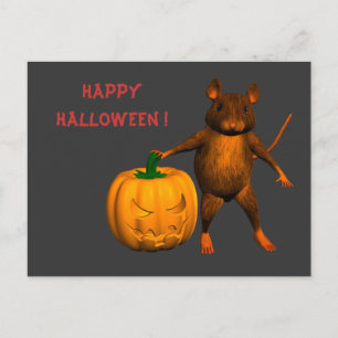 House Mouse Postcard