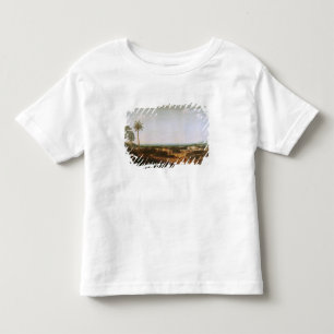 House of a Portuguese Nobleman in Brazil Toddler T-Shirt