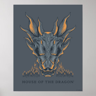 HOUSE OF THE DRAGON   Balerion Candle Altar Poster