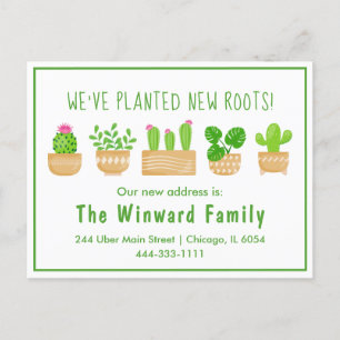 House Plants Cactus White New Home Postcard