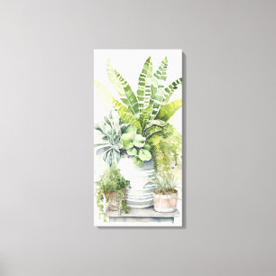 House Plants Canvas Print