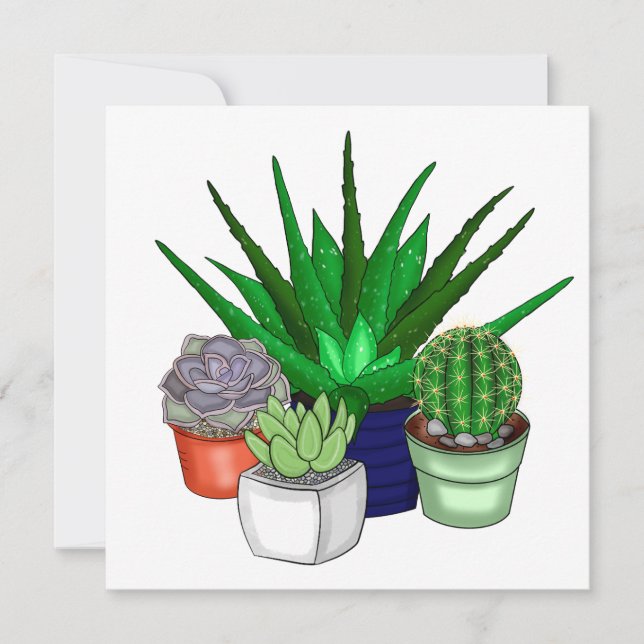 House Plants | Succulents Thank You Card (Front)