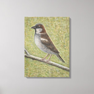 House Sparrow 2008 Canvas Print