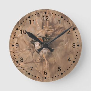 House Sparrow Birds Rustic Woodland Wildlife Photo Round Clock