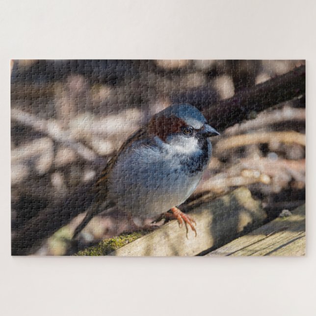 House Sparrow Jigsaw Puzzle (Horizontal)