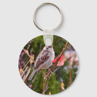 House Sparrow Key Ring