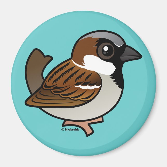 House Sparrow Magnet (Front)