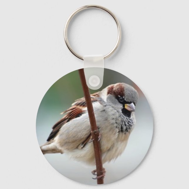house-sparrow-male key ring (Front)