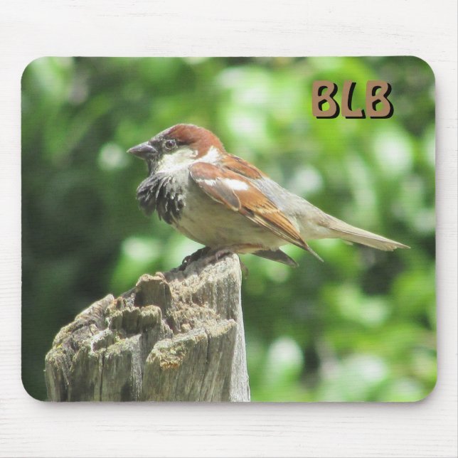 House Sparrow profile on stump with your initials Mouse Pad (Front)