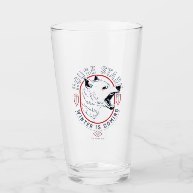 House Stark - Winter Is Coming Glass (Front)