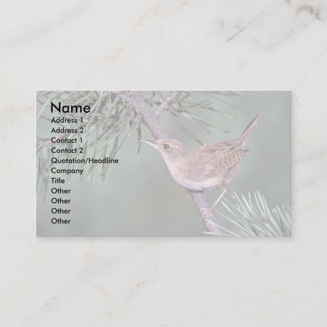 House Wren Business Card (Front)