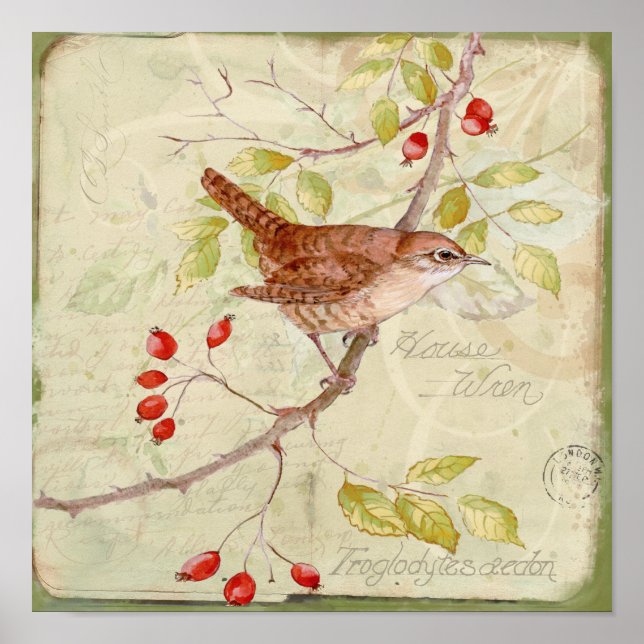 House Wren Collage Poster (Front)