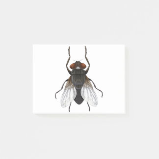 housefly cartoon post-it notes