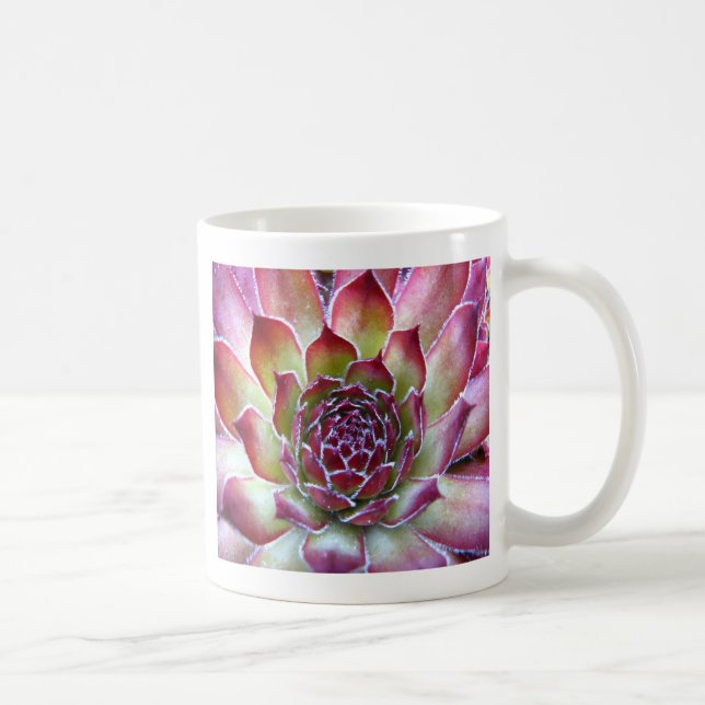 houseleek coffee mug (Right)
