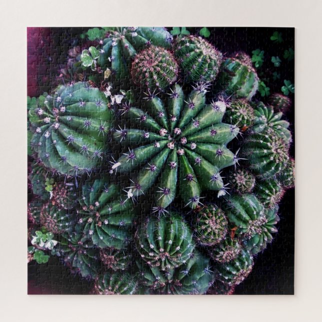 Houseplant Cactus: Nursery Beautiful Design Jigsaw Puzzle (Vertical)