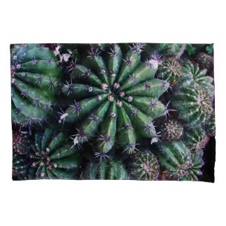 Houseplant Cactus: Nursery Beautiful Design Pillowcase