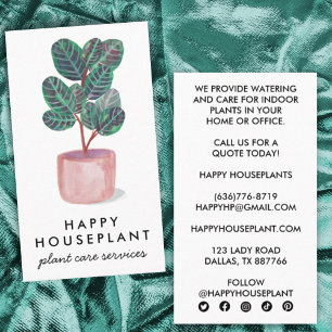 Houseplant Calathea Prayer Plant Gardening Social Business Card