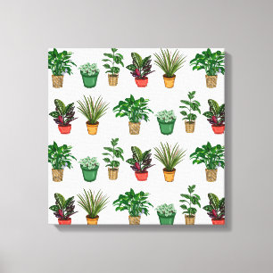 Houseplants Art Canvas Print