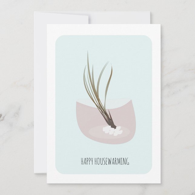 Housewarming AirPlant New Home Party   (Front)