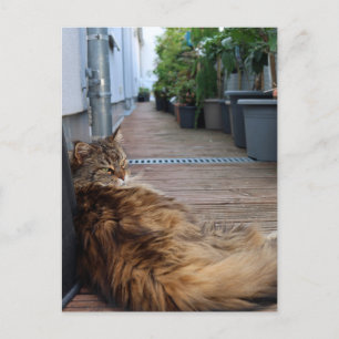 Housewarming or just moved card
