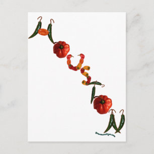 Houston Chilli Peppers Postcard