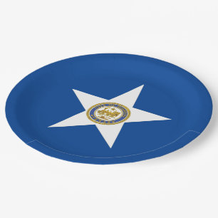 Houston city flag paper plate
