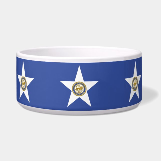 Houston Flag Pet Bowl (Front)