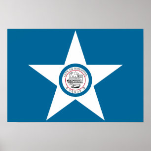 Houston Flag Poster