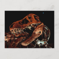 Houston Museum of Natural Science