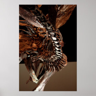 Houston Museum of Natural Science Poster