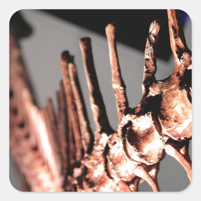 Houston Museum of Natural Science Square Sticker (Front)