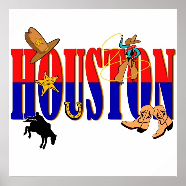 Houston Pics Poster (Front)