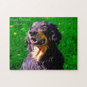 Hovawart Dog. Jigsaw Puzzle