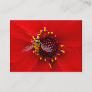 Hover Fly on a Dahlia, Mini Photo Business Card